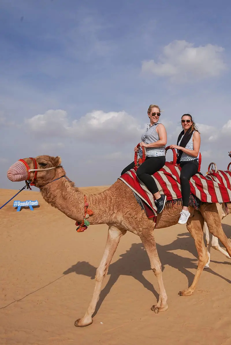 Premium Desert Safari with Pick Up and Drop Off by 4x4 Car — photo 2 of 9